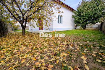 Vilă - 5 camere de vanzare LUNCA CETATUII - Iasi anunturi imobiliare Iasi