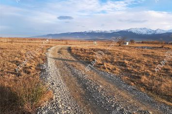 Teren Extravilan de vanzare AVRIG - Sibiu anunturi imobiliare Sibiu