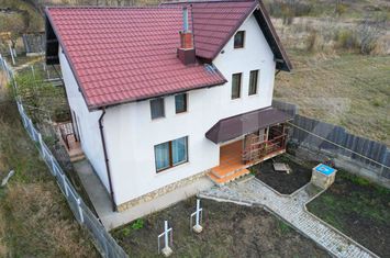 Vilă - 4 camere de vanzare BOGONOS - Iasi anunturi imobiliare Iasi