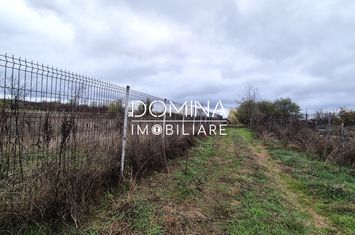 Teren de vanzare IEZURENI - Gorj anunturi imobiliare Gorj