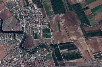 Teren intravilan 4657 mp, deschidere 30 ml, Ostratu, strada Lotusului anunturi imobiliare Bucuresti