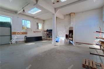 Spațiu industrial de inchiriat CISNADIE - Sibiu anunturi imobiliare Sibiu