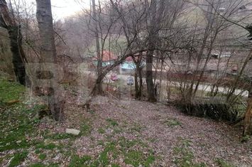 Teren de vanzare ALBA IULIA - Alba anunturi imobiliare Alba