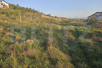 Teren de vanzare SALICEA - Cluj anunturi imobiliare Cluj
