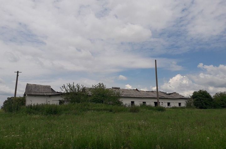 Abator pasari - Nadlac, Arad anunturi imobiliare Arad