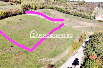 Teren 2.200 mp puz aprobat 36.euro mp anunturi imobiliare Mures