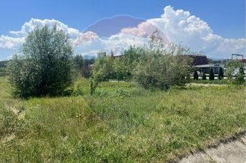 Teren pentru Dezvoltare 14.800 mp -Vestem anunturi imobiliare Sibiu