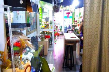 Spatiu Comercial De Inchiriat - C.A. Rosetti | Cafenea/Fast-Food anunturi imobiliare Bucuresti