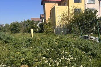 Casa de locuit - DOMNESTI - ILFOV anunturi imobiliare Bucuresti