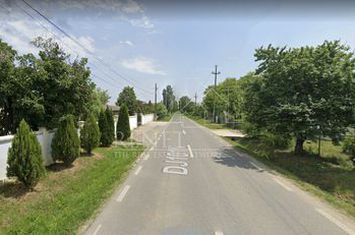 Teren de vanzare CIOLPANI - Bucuresti anunturi imobiliare Bucuresti