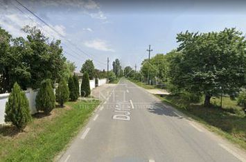 Teren de vanzare CIOLPANI - Bucuresti anunturi imobiliare Bucuresti