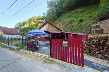 Casă - 2 camere de vanzare CRISCIOR - Hunedoara anunturi imobiliare Hunedoara