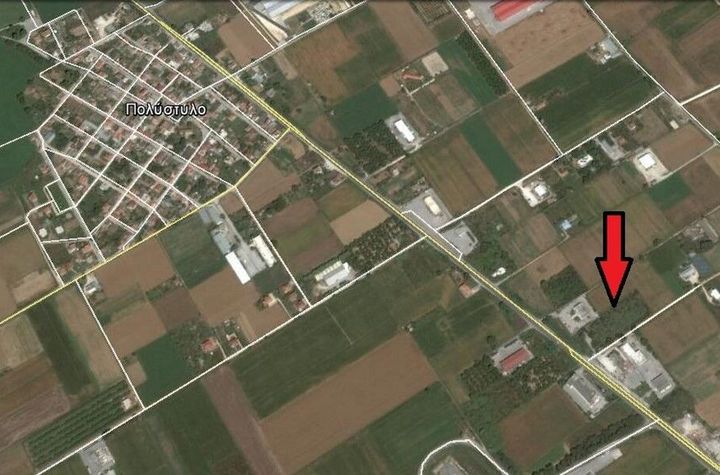 Teren agricol 8.000 mp în Polistilo anunturi imobiliare Grecia