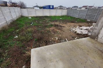 Vilă - 4 camere de vanzare MALU MARE - Dolj anunturi imobiliare Dolj