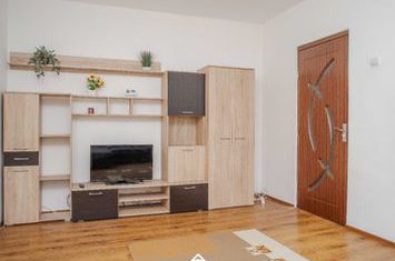 Apartament 2 camere de inchiriat IASI - Iasi anunturi imobiliare Iasi