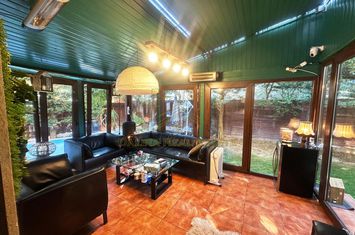 Vanzare - Vila cu piscina si finisaje premium - Otopeni anunturi imobiliare Bucuresti
