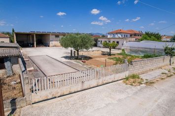 Depozit 386 mp pe teren 1.272 mp în Koudounia anunturi imobiliare Grecia