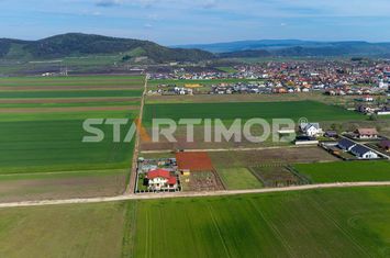 Teren intravilan Harman anunturi imobiliare Brasov