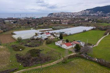 Teren construibil 500 mp în Perigiali, Kavala anunturi imobiliare Grecia
