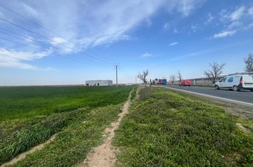 Teren de vanzare GEPIU - Bihor anunturi imobiliare Bihor
