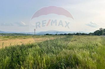 Teren 2,000mp Sibiu , Campusor anunturi imobiliare Sibiu