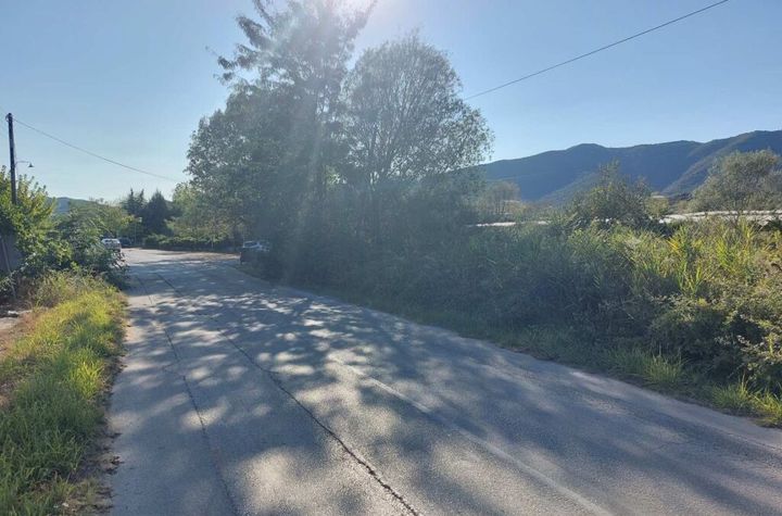Teren construibil 7.400 mp – Mirtofito, Kavala anunturi imobiliare Grecia