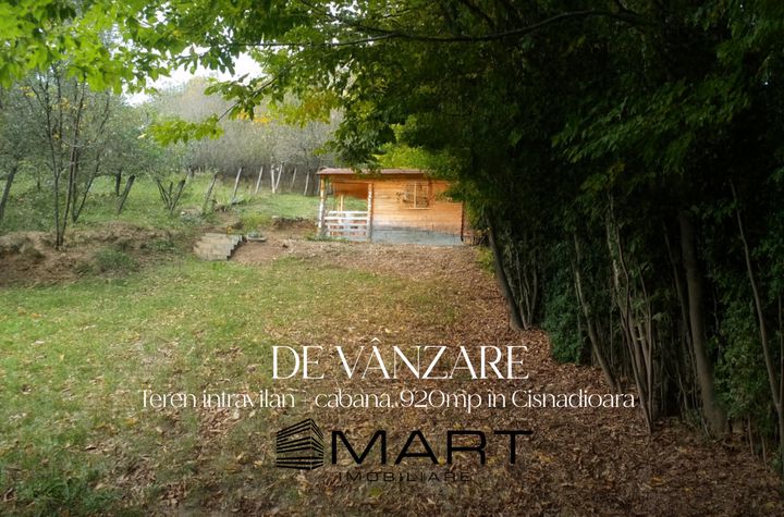 Teren de vanzare CISNADIOARA - Sibiu anunturi imobiliare Sibiu