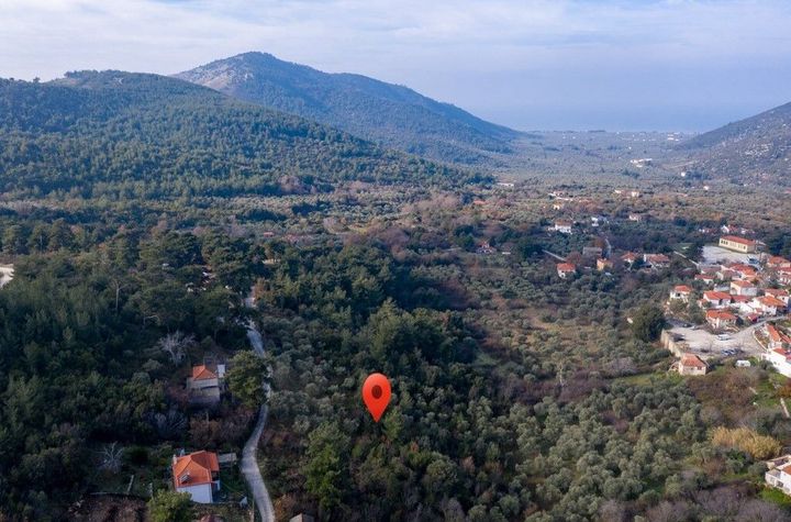 Teren construibil 4.028,13 mp în Rachoni, Thassos anunturi imobiliare Grecia