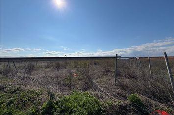 Teren Intravilan de vanzare EXTERIOR NORD - Vrancea anunturi imobiliare Vrancea