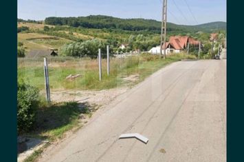 Teren de vanzare ZAVOI - Hunedoara anunturi imobiliare Hunedoara