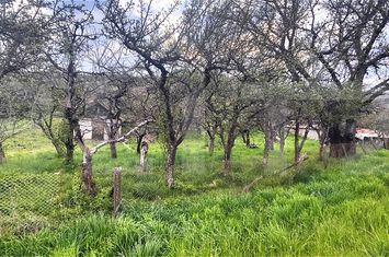 Teren de vanzare VOINESTI - Dambovita anunturi imobiliare Dambovita