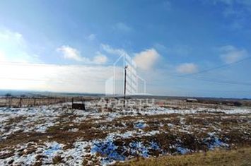 Teren intravilan Comision ZERO%,  Sebis Arad anunturi imobiliare Arad