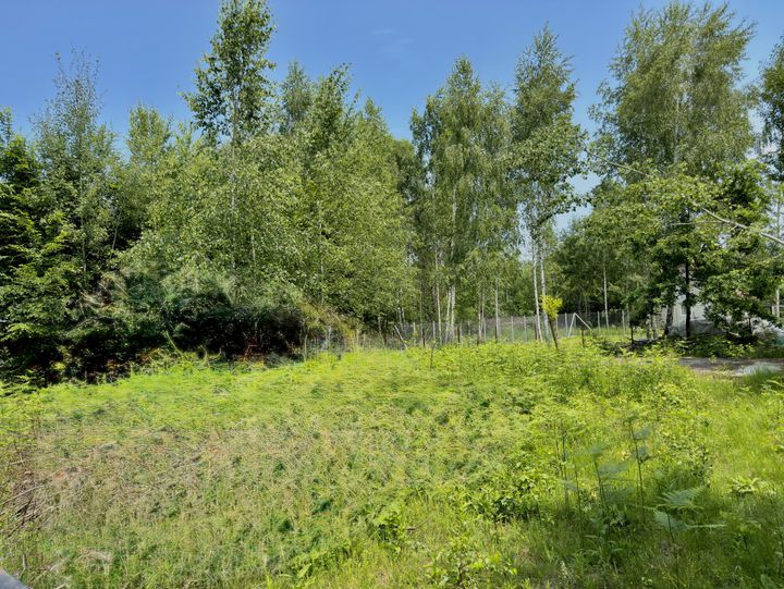 Teren de vanzare AVRIG - Sibiu anunturi imobiliare Sibiu