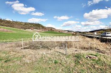 Parcele de  603 mp.teren intravilan, drum de 9 m.Livezeni anunturi imobiliare Mures
