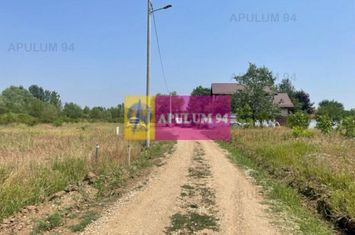 Teren Domnesti- Ciutaci. anunturi imobiliare Bucuresti