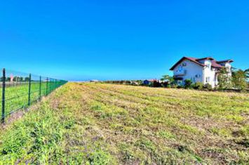 TUZLA - TEREN INTRAVILAN 1445MP - APROAPE DE PLAJA - Comision 0% anunturi imobiliare Constanta