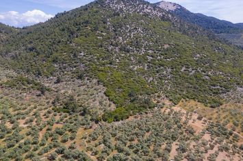 Teren 5662 mp în Rachoni, Thassos anunturi imobiliare Grecia