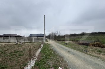 Teren de vanzare MALU MARE - Dolj anunturi imobiliare Dolj