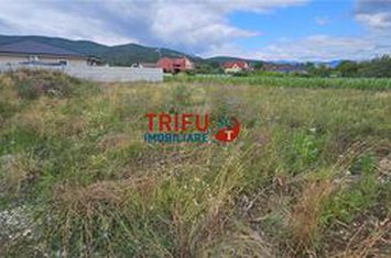 Teren Intravilan de vanzare CENTRAL - Alba anunturi imobiliare Alba