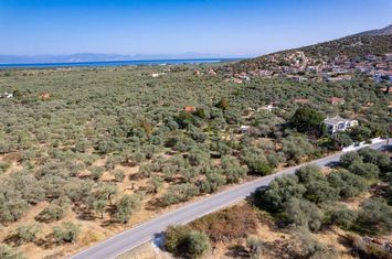 Teren construibil 937 mp în Prinos, Thassos anunturi imobiliare Grecia