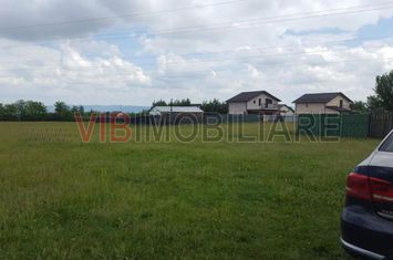 Vanzare Teren Magura- 11949Mp. Gaz-Curent Comision 0 anunturi imobiliare Bacau