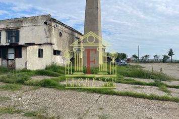 Ferma Vaslui! anunturi imobiliare Vaslui