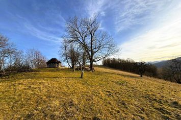 2,2 Ha TEREN INTRAVILAN PANORAMIC, in Muntii Apuseni NEGRENI – CLUJ anunturi imobiliare Cluj
