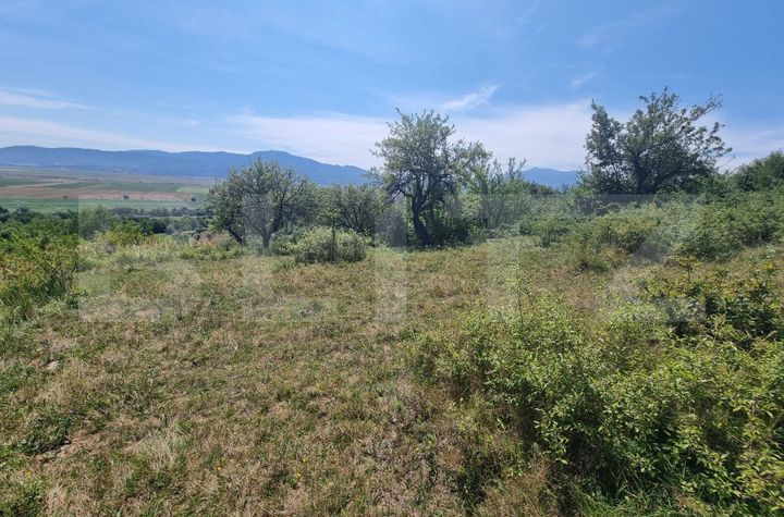Teren de vanzare VULCAN - Brasov anunturi imobiliare Brasov
