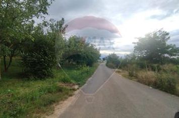 TEREN INTRAVILAN 2900 mp ȘIMLEU SILVANIEI/ Str. Corneliu Coposu/Sălaj anunturi imobiliare Salaj