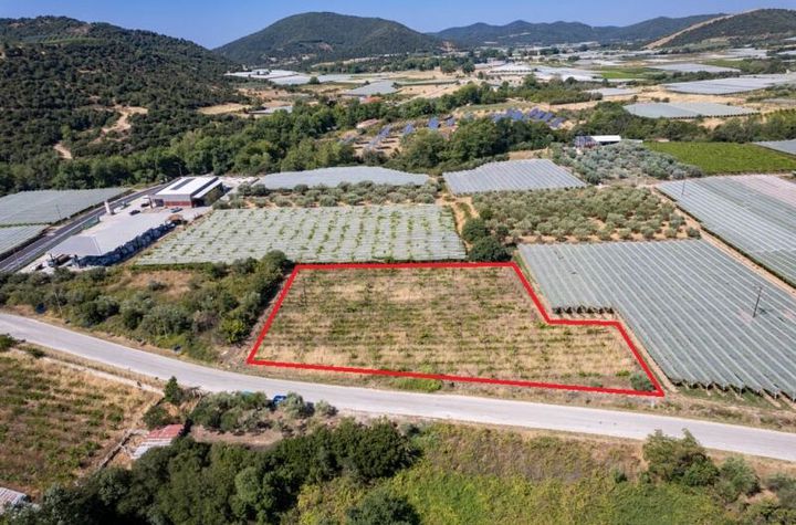 Teren construibil 4.483 mp în Mirtofito, Kavala anunturi imobiliare Grecia