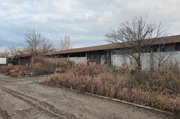Spațiu industrial de inchiriat IASI - Iasi anunturi imobiliare Iasi