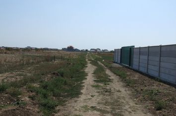 Domnesti-Ciocarliei(Afinului-Fragilor) anunturi imobiliare Bucuresti