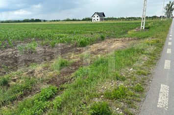 Teren de vanzare FRATAUTII VECHI - Suceava anunturi imobiliare Suceava