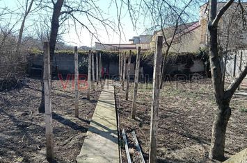 Casă spațioasă de vânzare | Parter + Etaj | Ideală pentru locuință sau activitate comercială anunturi imobiliare Timis